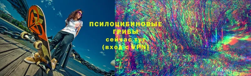 Какие есть наркотики Шагонар АМФЕТАМИН  Меф  Метадон  ОМГ ОМГ как войти  СОЛЬ  ГАШИШ  Конопля 